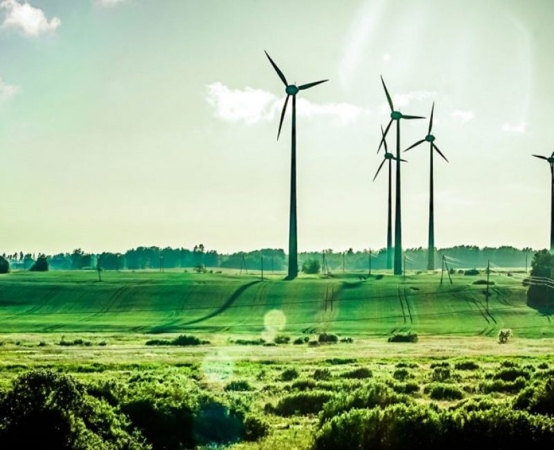 Sunlilys Limited Environment Management 